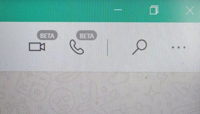WhatsApp Web aduce apeluri vocale și video 8 WhatsApp Web - functie apeluri vocale si video